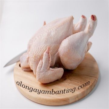 Ayam Segar 1.6-1.8KG